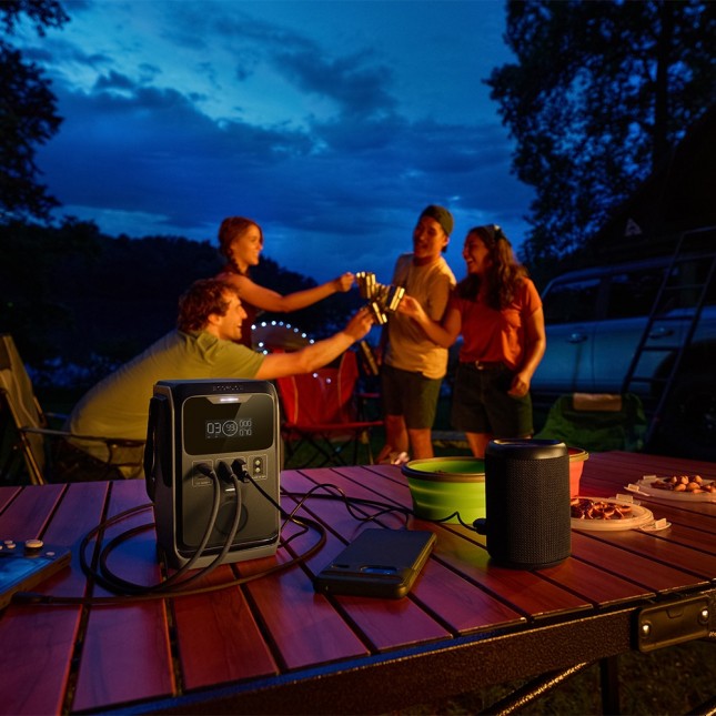 Ecoflow trail 300 dc power station 10